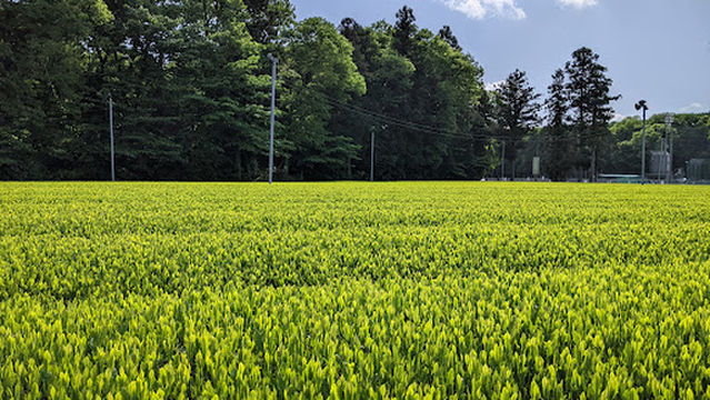Bandoshi Sashima Baseball Field