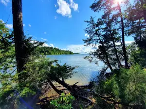 Pat Mayse Lake Recreation Area
