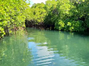 Crocodile River