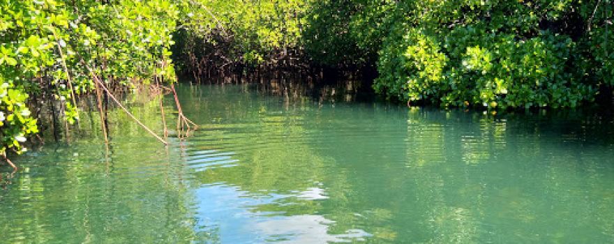 Crocodile River