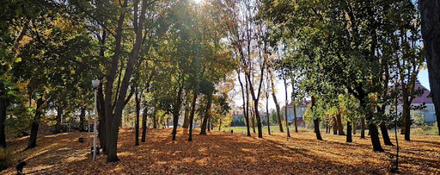 Park Miejski