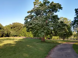Lake Barkley State Resort Park