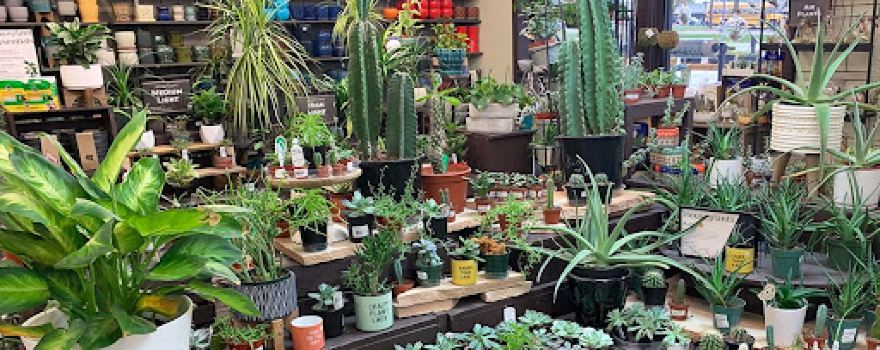 Earl May Garden Center