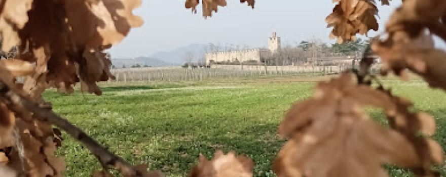 Castello di Passirano