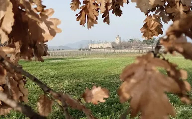 Castello di Passirano