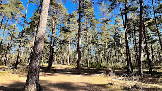 Kronoskogens naturreservat