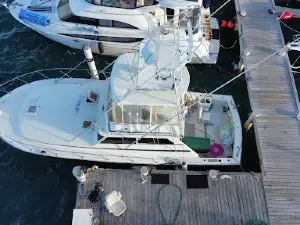 Lioness Sportfishing - Christiansted, St Croix