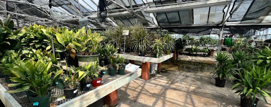 Cedar Grove Garden Center