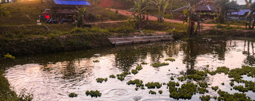 Kolam Pemancingan Mamapan