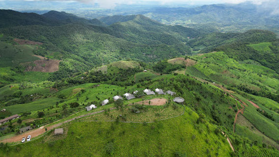 Montoro Hill by Doi Chaang Coffee