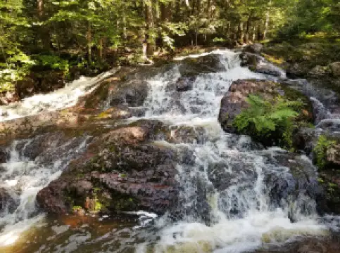 The Porkies Union Bay