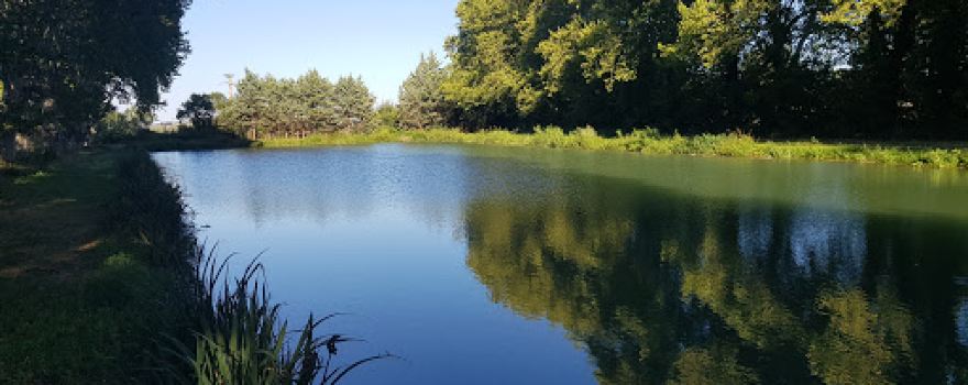 Lac de la Métairie du Bois