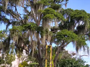 San José Park