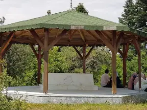 Tunuslar Koyu Muhtarligi
