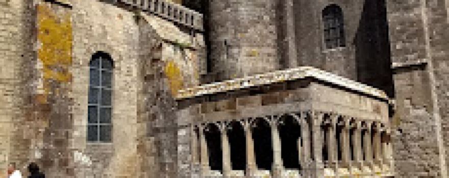 Ana - Guide - Voyages et dégustations