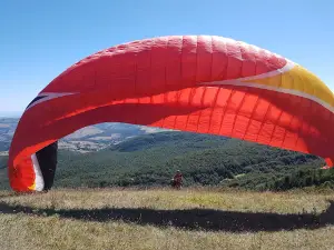 Aero Club I Picchi - Campo Decollo
