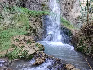 Fuente del Gorgotón