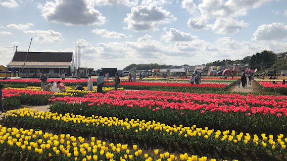 Dutch Windmill Liefde