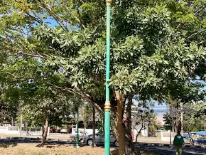 Ra Sae San Lake Park