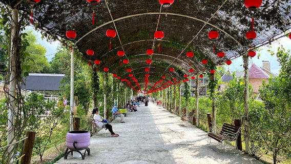 ThemePark Asia Farm Hayday