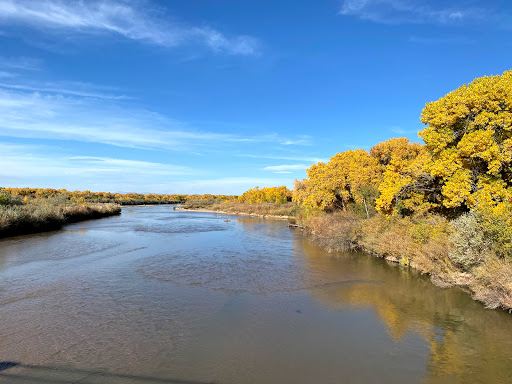 Alameda / Rio Grande Open Space