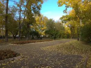 Park Im. L.a. Gus'kova