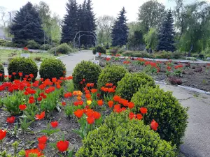 Днепродзержинский розарий