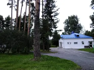 Children's Sanatorium Gorodets