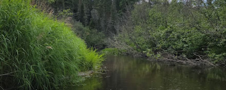 Rohr's Wilderness Tours