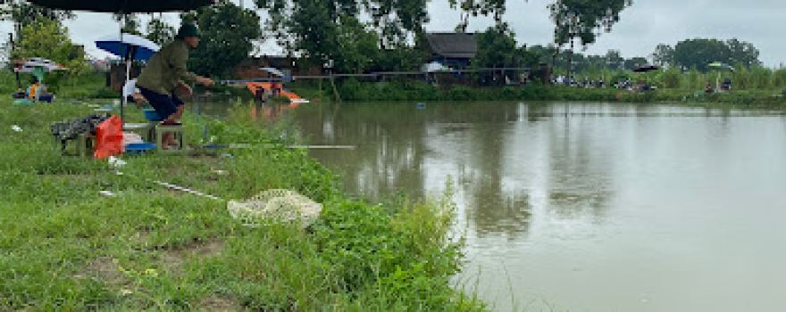 Hồ Câu đơn đài Lê Mừng
