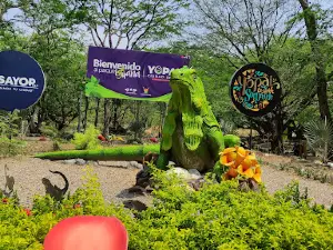 Parque Natural La Iguana