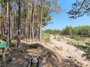 Karujärve Disc-golf