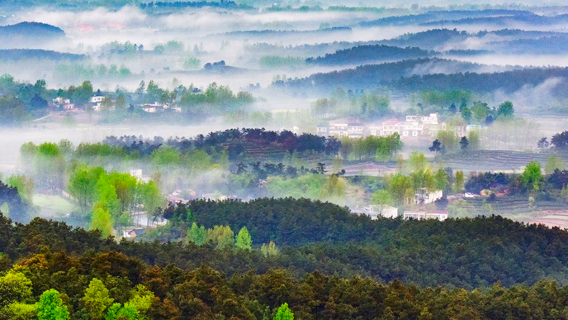 Dasushan National Forest Park