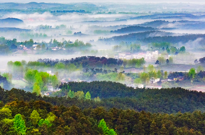 Dasushan National Forest Park
