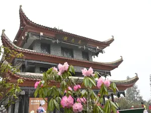 Baili Dujuan Jinpo Scenic Area - Viewing Platform