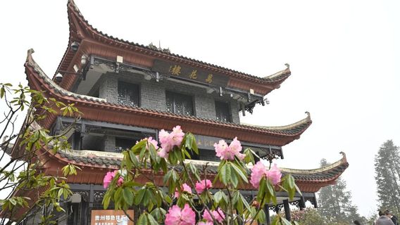 Baili Dujuan Jinpo Scenic Area - Viewing Platform