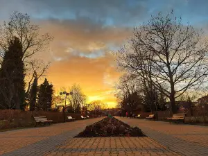 Park YUNAK
