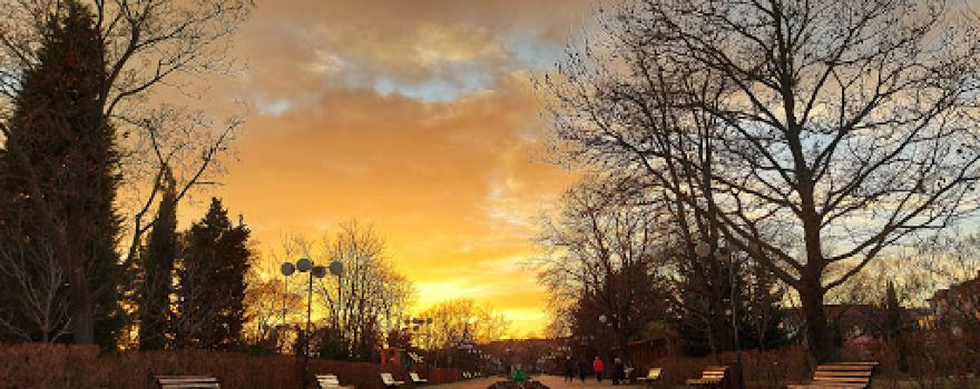 Park YUNAK