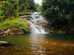 Buffalo Head Waterfall