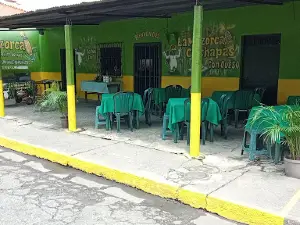 Henri Pittier Plaza