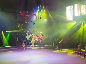 Kemerovo State Circus