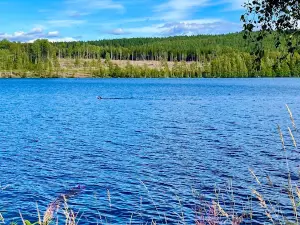 Sörälgens Camping