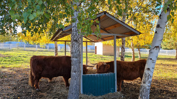 Ekokompleks Kazeevka