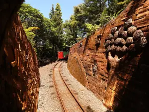 Driving Creek Railway