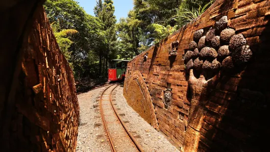 Driving Creek Railway Tours