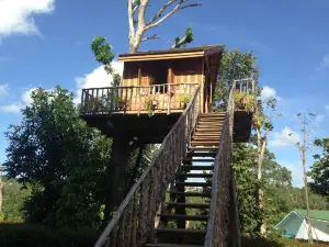 The Upside Down House Museum and Fun Attractions Phuket