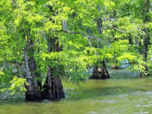 Santee State Park