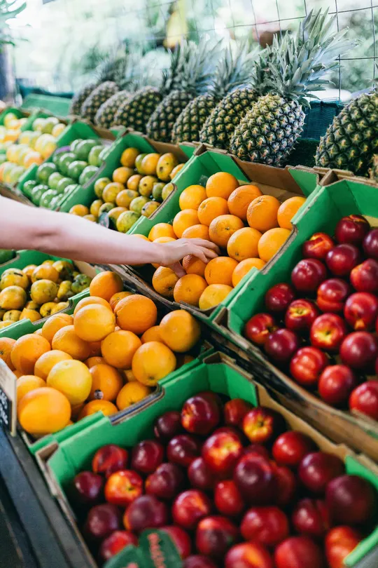 3_Tropical Fruit World