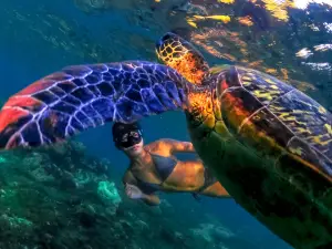 Freedive Boracay