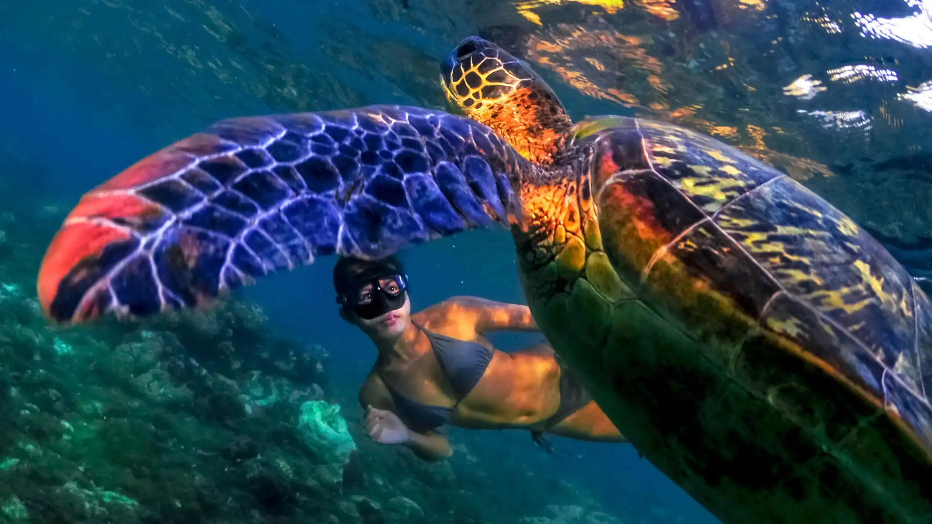 Hôtels à proximité de : Freedive Boracay